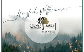 Hotel&Restaurant Grüner Baum Merzhausen